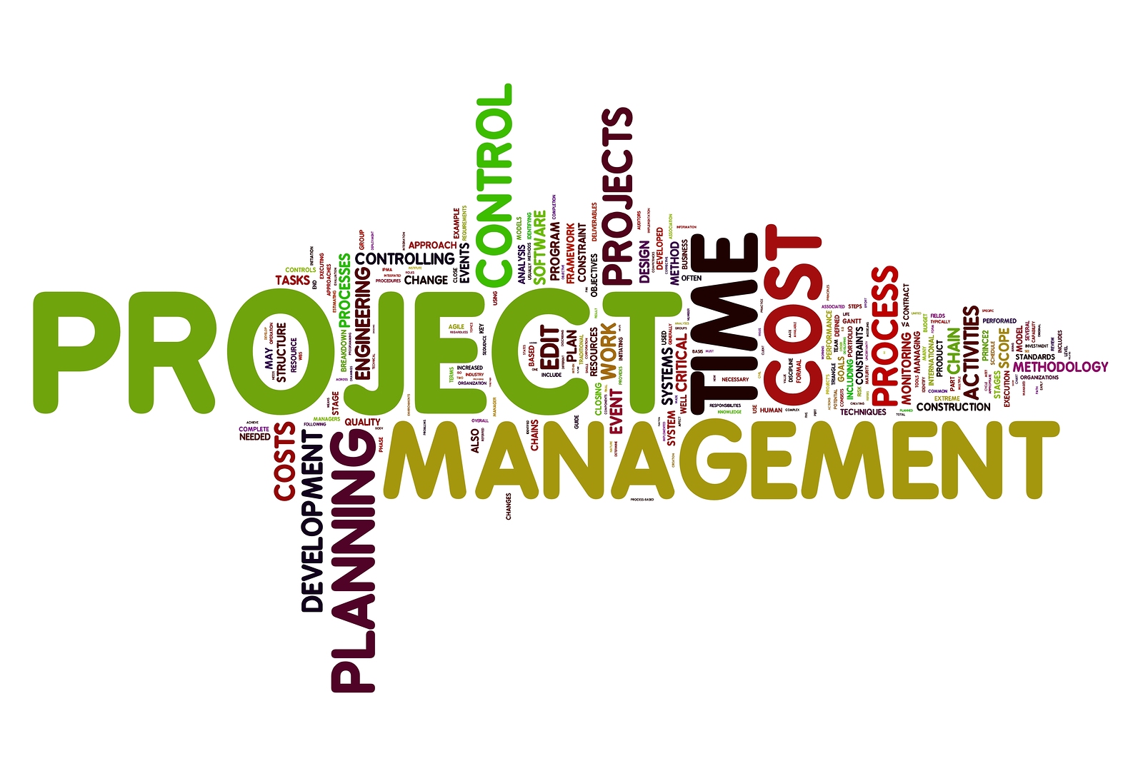 PETROLEUM PROJECT MANAGEMENT: PRINCIPLES AND PRACTICES